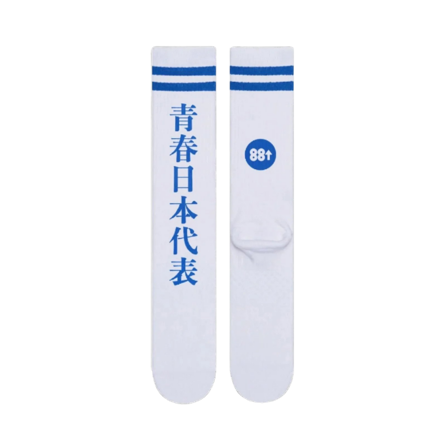 AG! Knee High Knit Varsity Socks